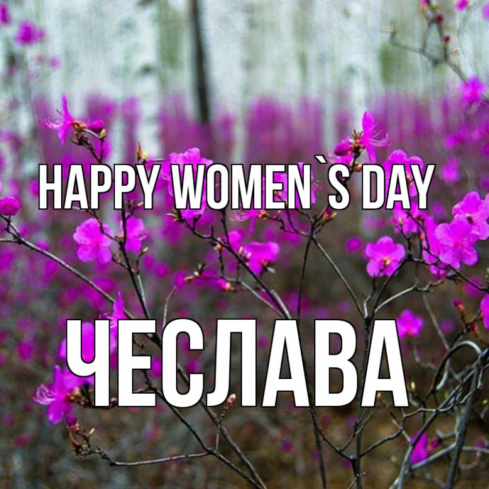 Greetings card с именем, Чеслава happy women`s day дикие цветы Greetings with text for free download 